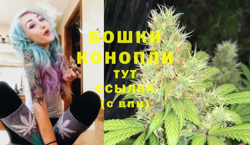 Каннабис SATIVA & INDICA  Ворсма 